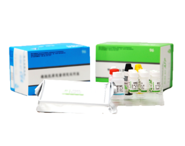 Diagnostic Kit for IgG and IgM antibodies to Salmonella typhoid and Para-typhoid 3-line Test (CGIA)